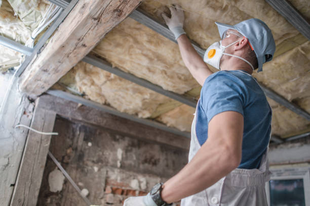 Best Commercial Insulation Services  in Raubsville, PA